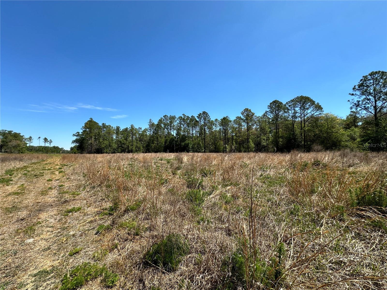 DIVERSIFIED PROPERTIES - Land