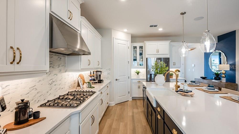 CASSIA AT SKYE RANCH - Residential