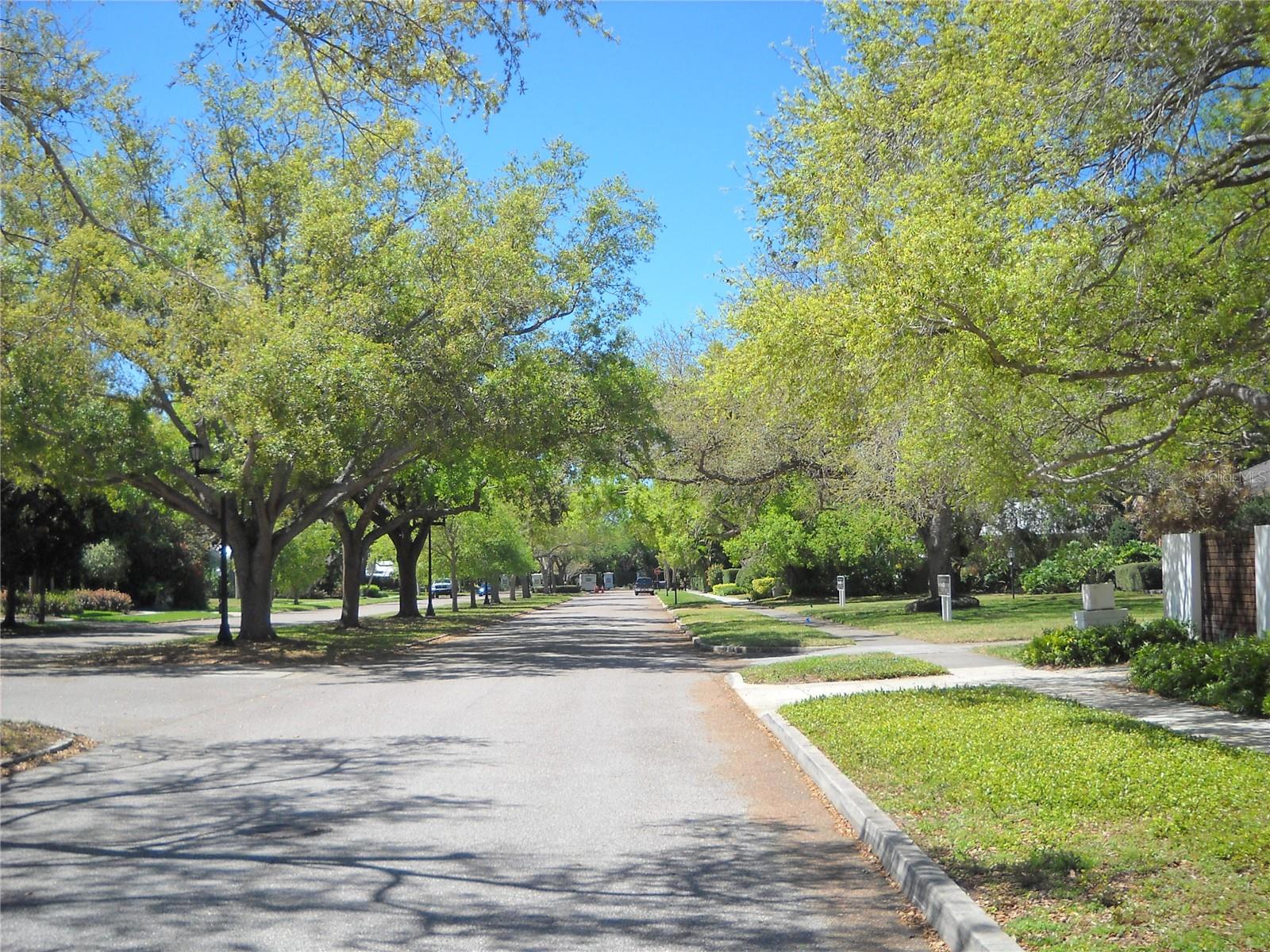 An exceptional 100X200 lot in historic Cherokee Park awaits your dream home, with Fergeson Brothers design/construction as the designated
builder; this west-of-the-trail neighborhood is located on Sarasota Bay in the City of Sarasota; The adjoining lot MLS A4686830 is also for sale.