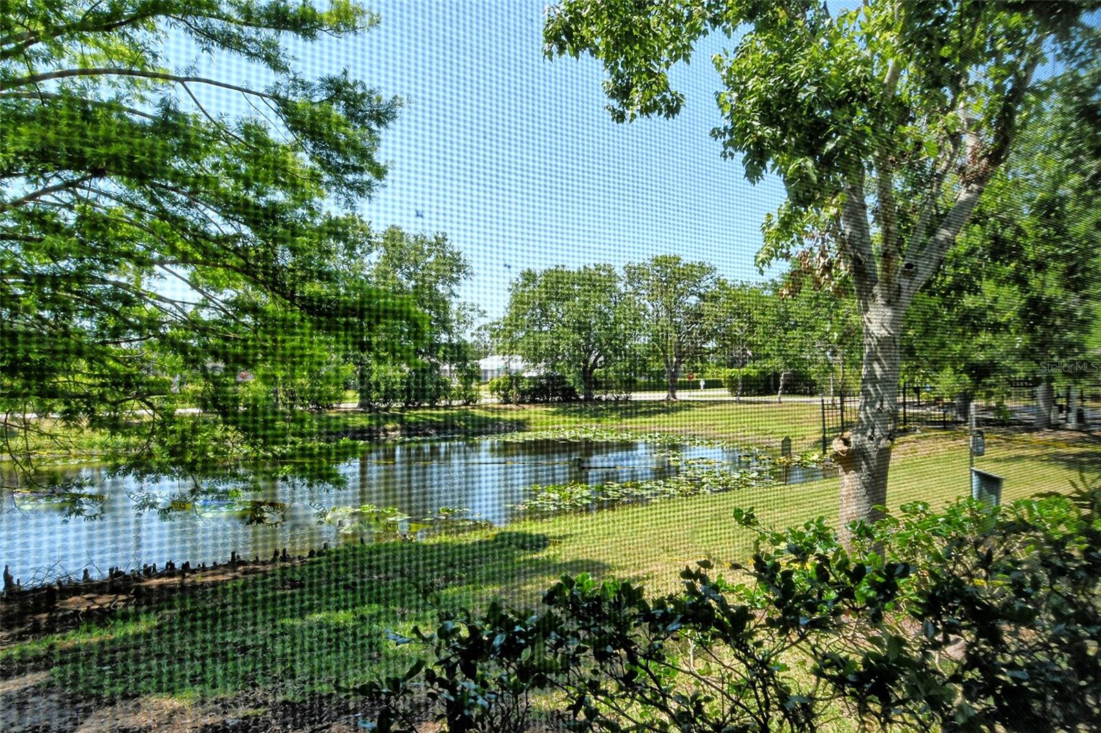 SERENADE ON PALMER RANCH - Residential