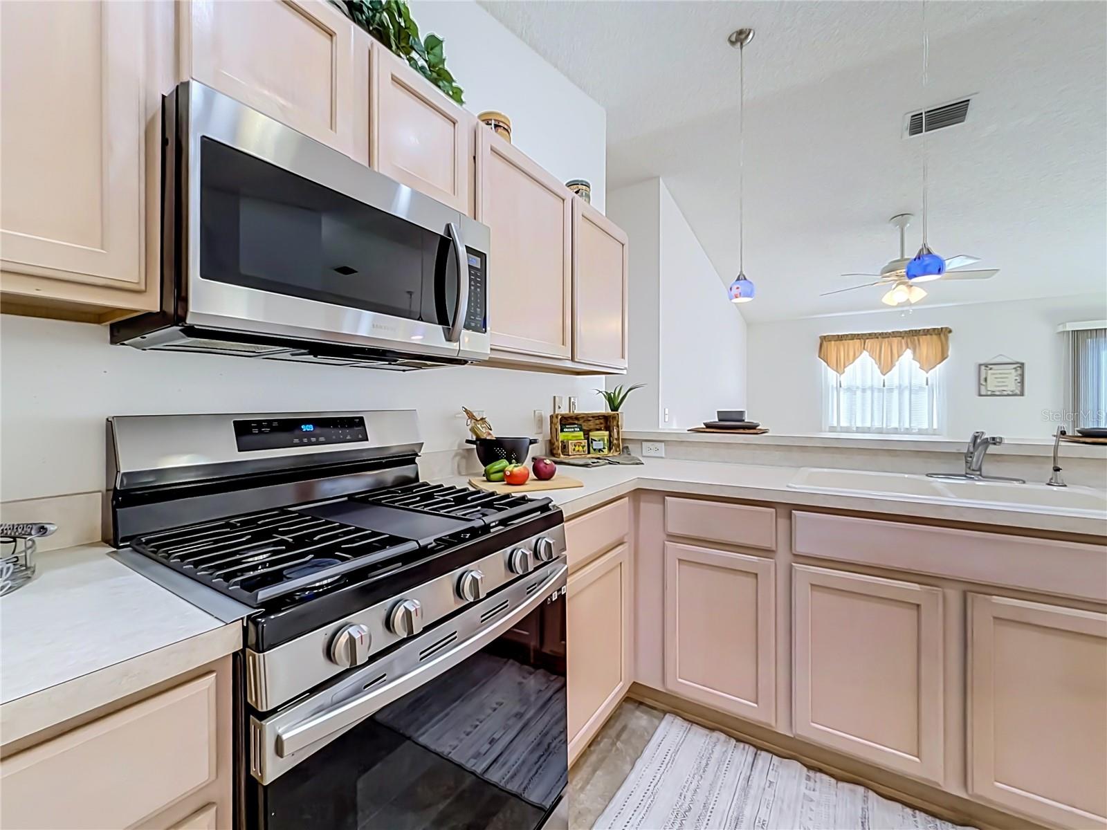 VILLAGES OF SUMTER RAINEY VILLAS - Residential