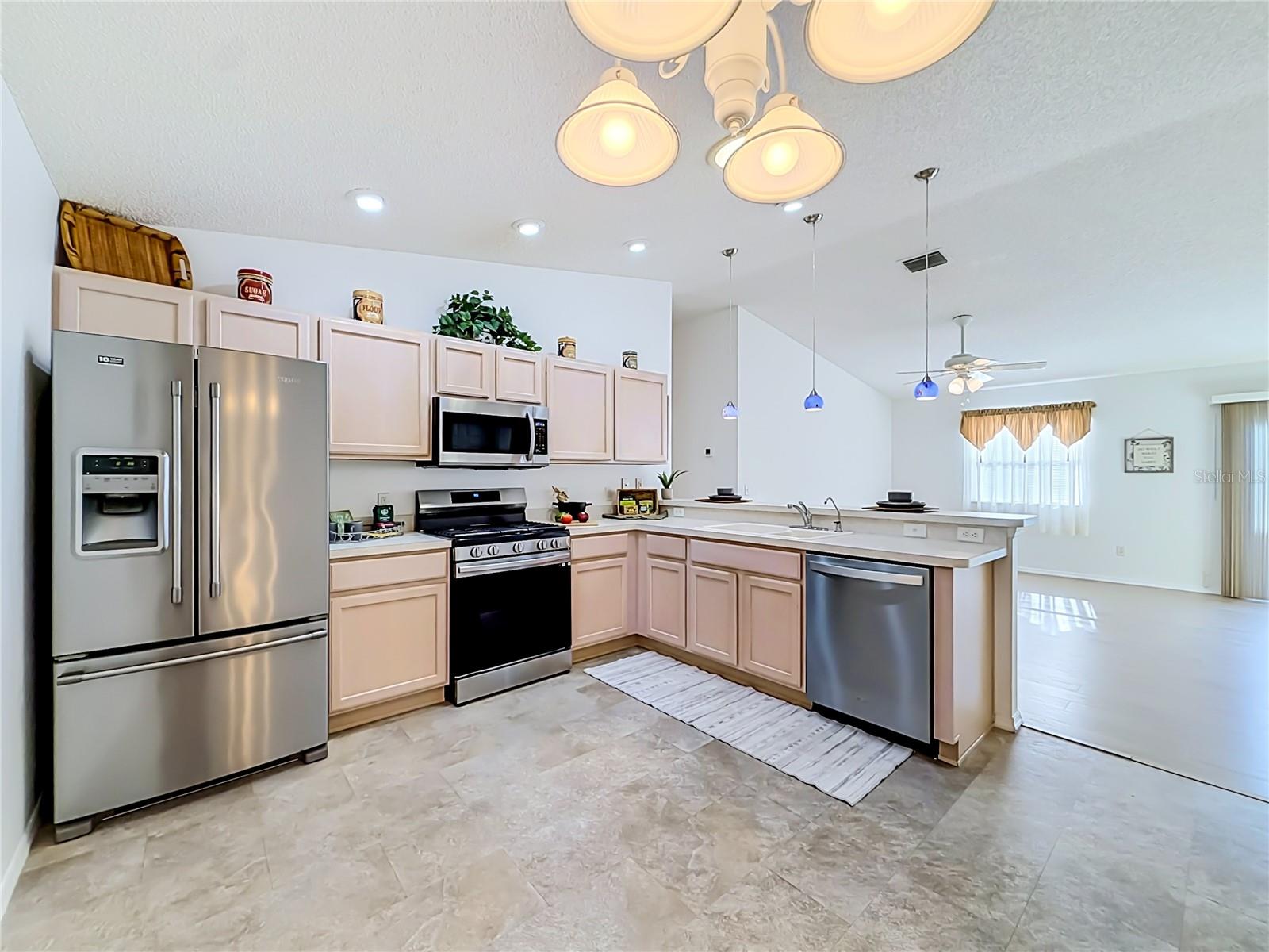 VILLAGES OF SUMTER RAINEY VILLAS - Residential