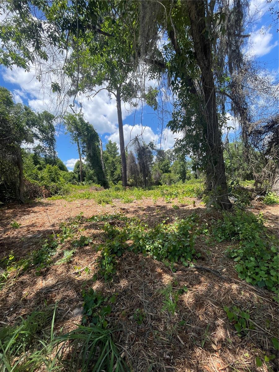 BIG TREE CAMPSITES SEC D - Land