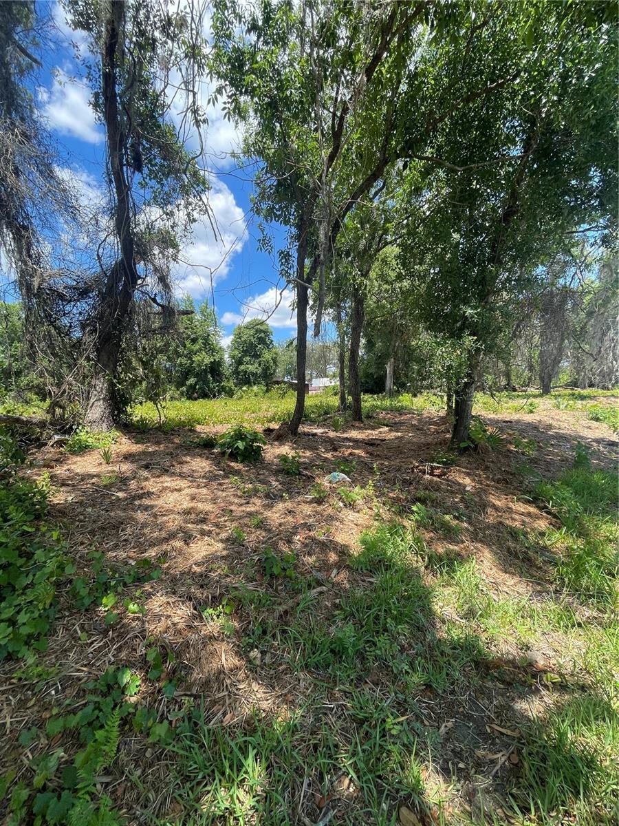 BIG TREE CAMPSITES SEC D - Land