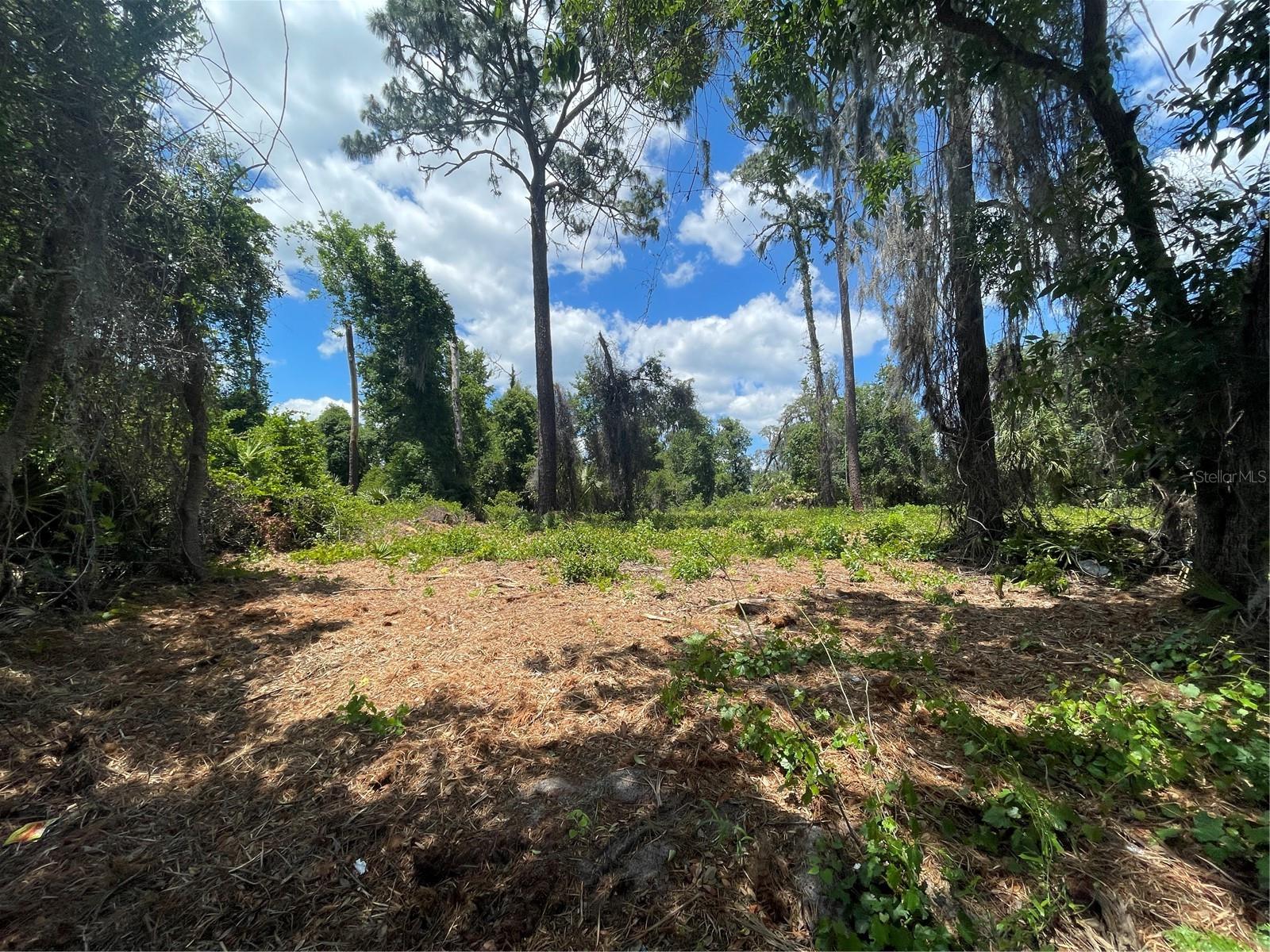 BIG TREE CAMPSITES SEC D - Land