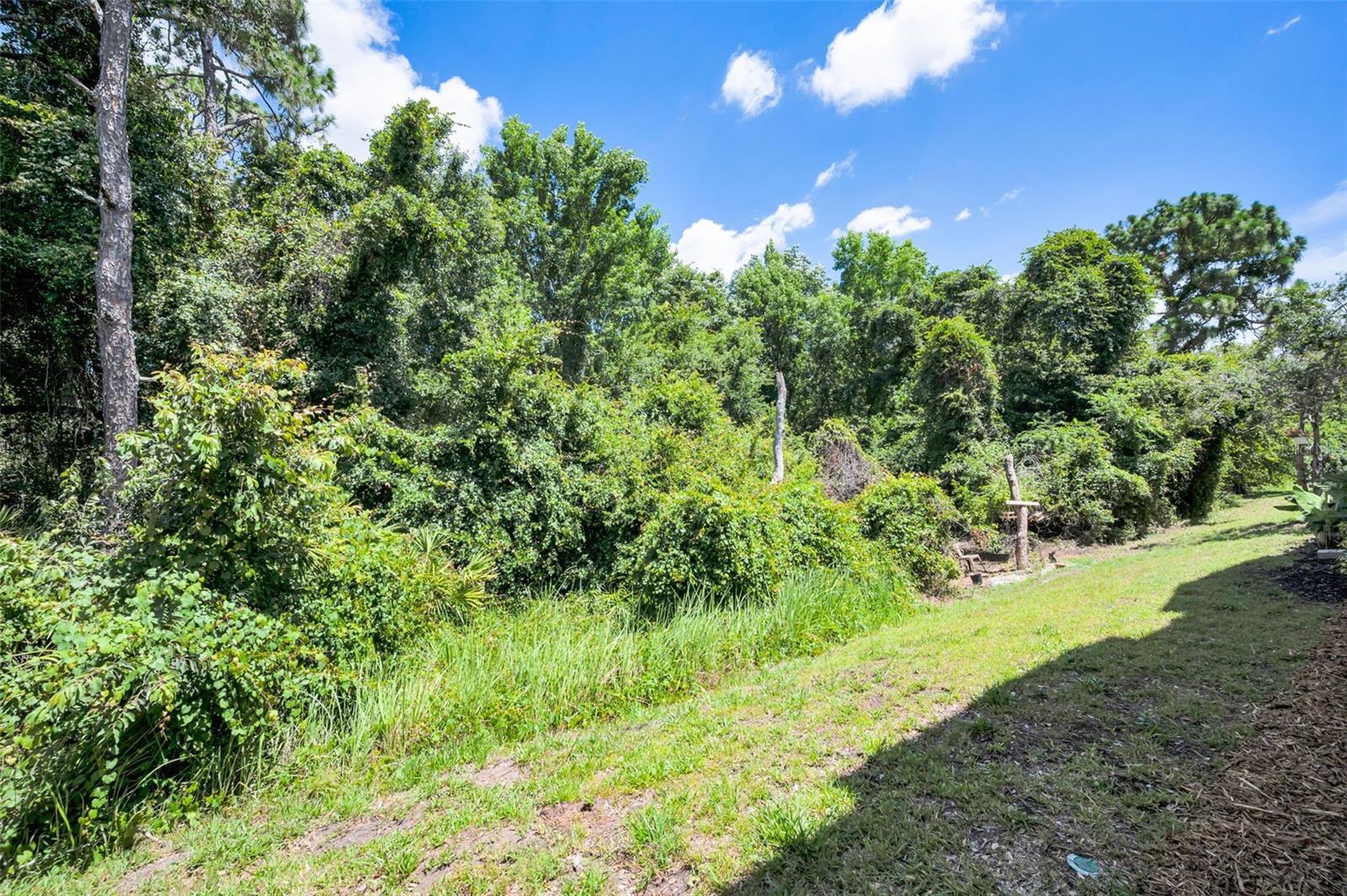 LITTLE CREEK - Residential