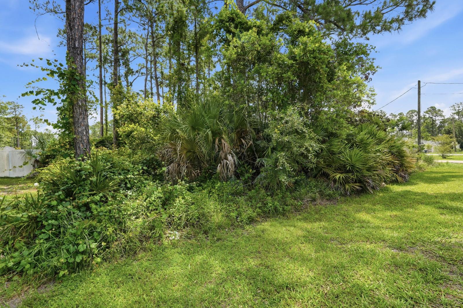 PALM COAST SEC 29 - Land