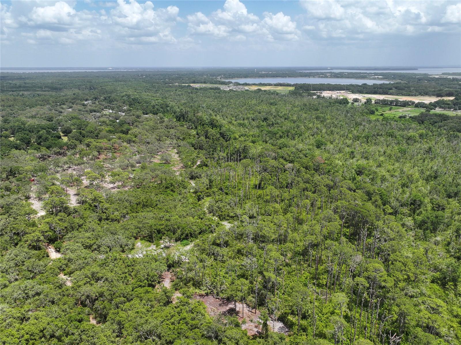 LANIER - Land