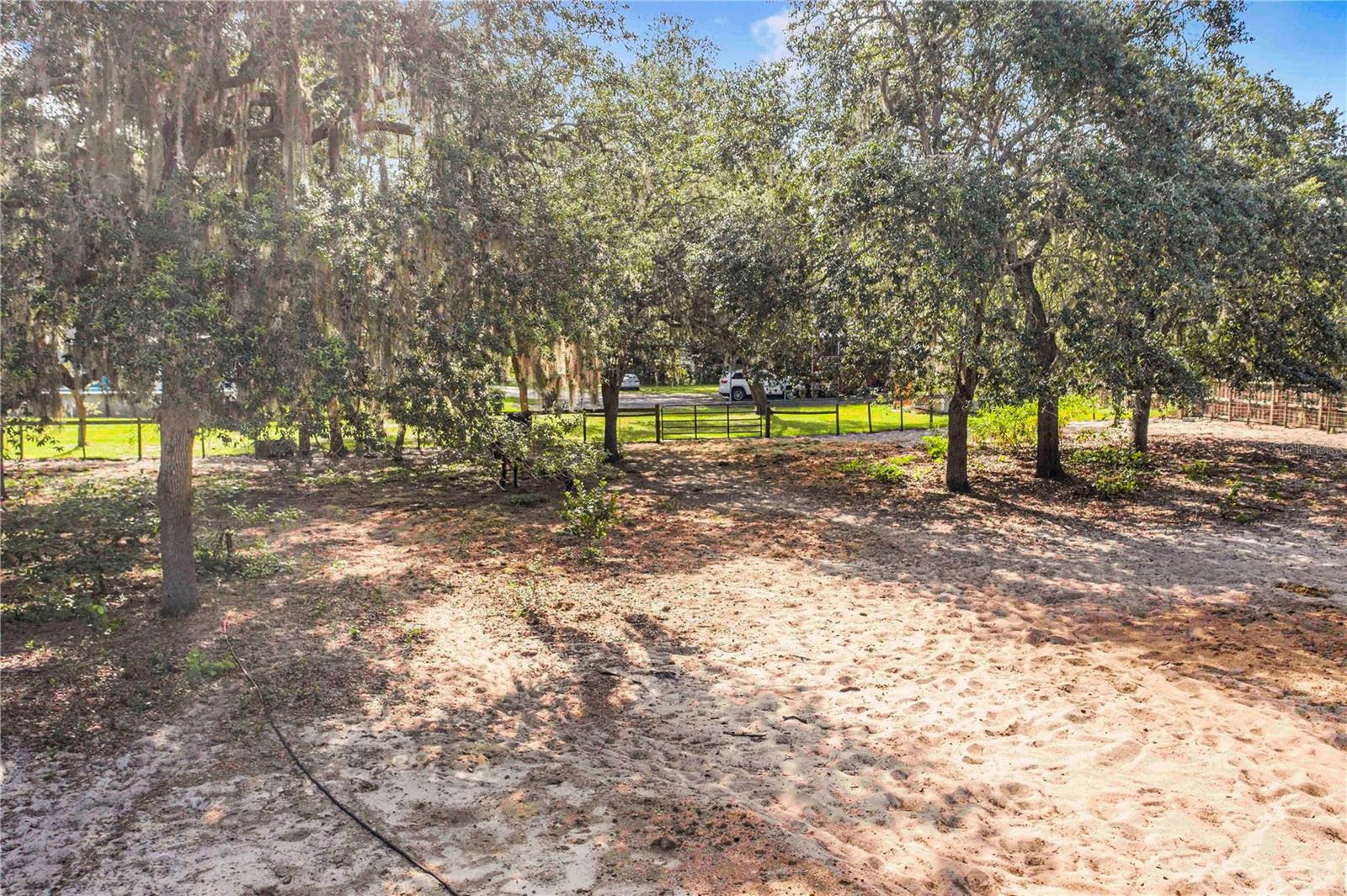 MARION FOREST - Residential
