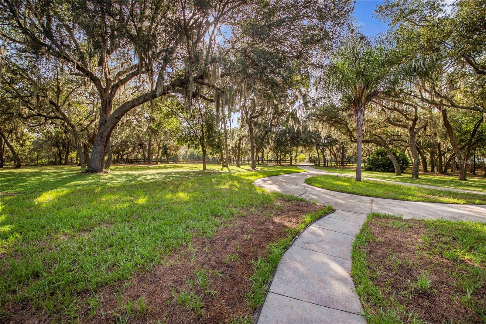 MARION FOREST - Residential