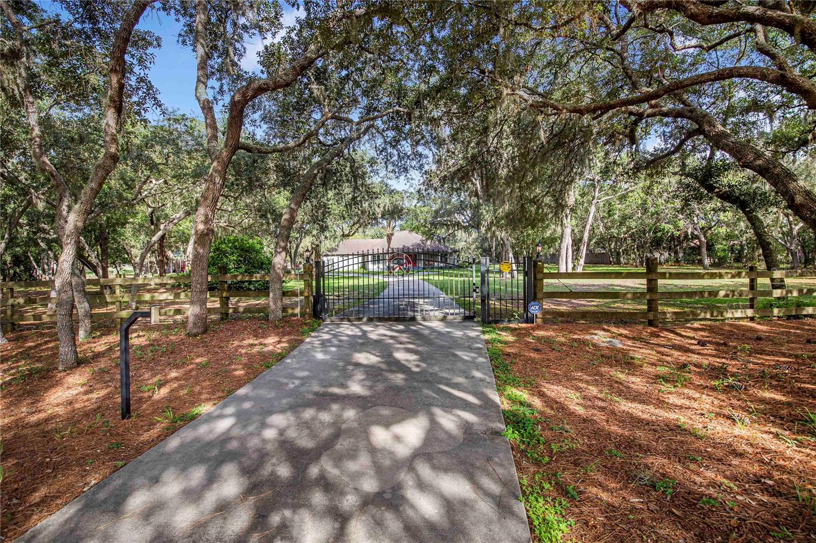 MARION FOREST - Residential