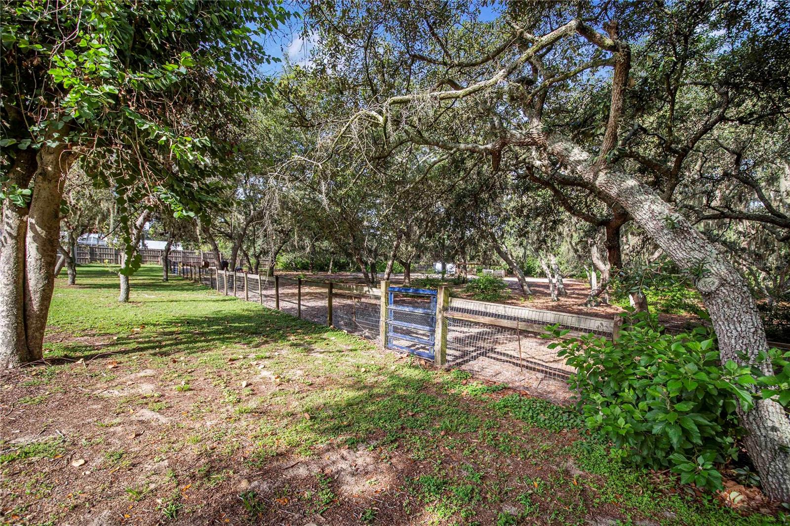 MARION FOREST - Residential