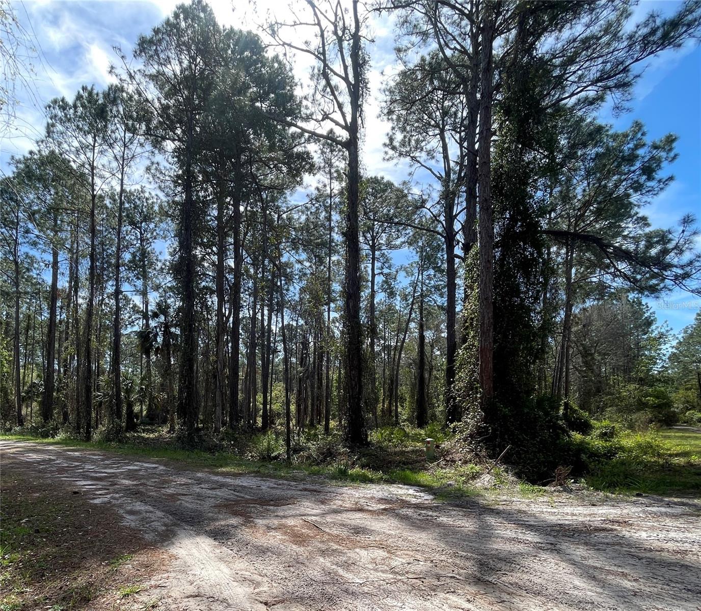 Prime your plot in paradise! Snag these affordable, fully surveyed vacant lots on Rosewood Street in charming Georgetown—some with prior lot clearing for easy starts on your dream home, retreat, or investment in Putnam County’s quiet gem.
Snag all 3 parcels 103,105 and 107 Rosewood Street for $50,000, or separately.
Properties have been surveyed, Engineering and Testing, Contact now for details and viewing.