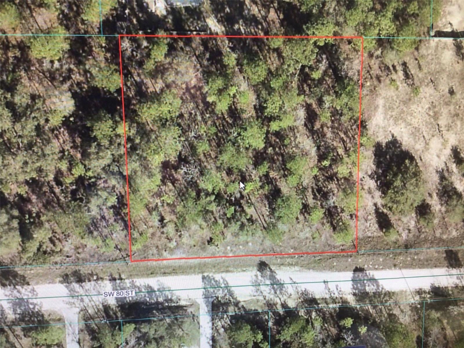 NICE BIG LOT JUST OFF SW 140 AVENUE, LOT IS ALMOST SQUARE IN SHAPE. EASY ACCESS TO RAINBOW STATE PARK AND RAINBOW RIVER ACTIVITIES AND NOT FAR TO WORLD EQUESTRIAN SITE.