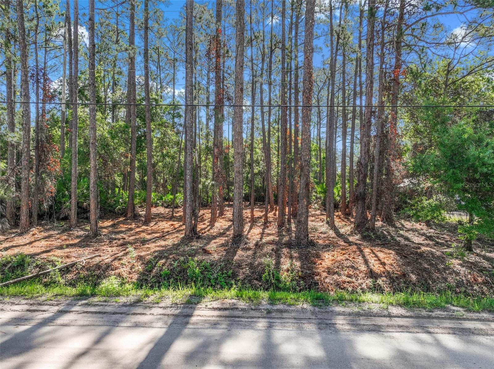 Freshly CLEARED of all brush and small trees. The lot is especially premium because it borders a huge field, meaning no neighbors behind you like 95% of other lots here in Daytona North subdivision. Mobile/Manufactured homes are ok. NO flood zone to worry about. The land clearing is about 75% of the way back from the street. The very back part was left alone, in case you desire extra rear privacy. Save lots of time and money with the forestry mulching and clearing that has been done for you. There are also especially beautiful and tall trees on this lot, very choice.