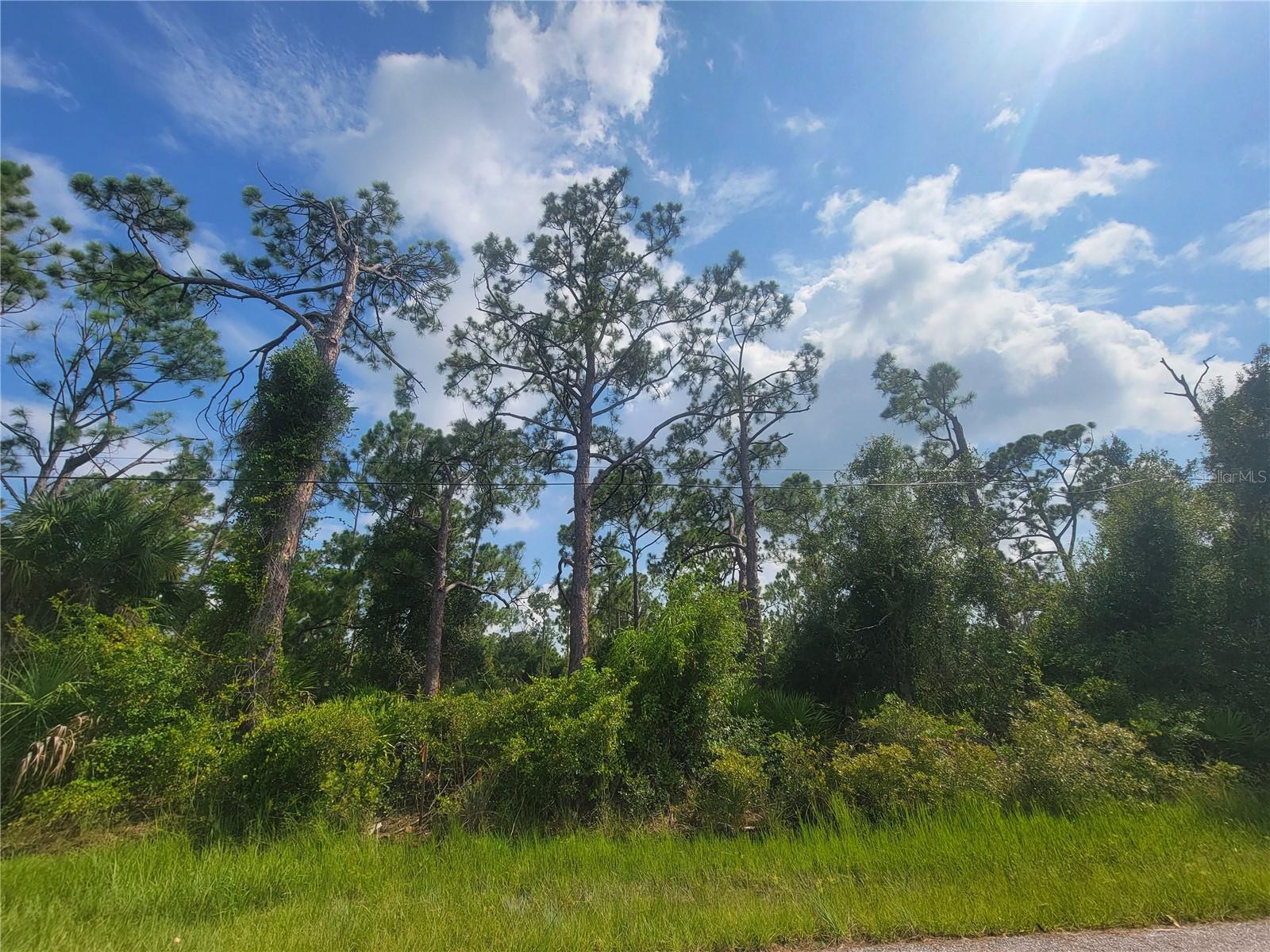 DISCOVER THE FREEDOM OF EMBRACING THE ULTIMATE COASTAL LIFESTYLE WITH THIS RARE, PREMIUM DOUBLE LOT. Perfectly positioned just minutes from the GULF BEACHES, this expansive lot provides the ideal blank canvas to design your dream estate, a spacious family compound, or a high yield investment. The almost half acre lot footprint provides the coveted, extra breathing room so rarely found. This is a premier opportunity to lock down land in a highly sought after area. This location is minutes to Boca Grande, Manasota Key, & great restaurants. PUBLIC WATER & SEWER ARE NEARBY. The 2 lots as per charlotte county zoning maybe split to build a single-family home on EACH LOT.