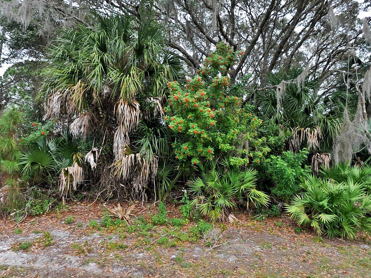 PORT CHARLOTTE SUB 37 - Land