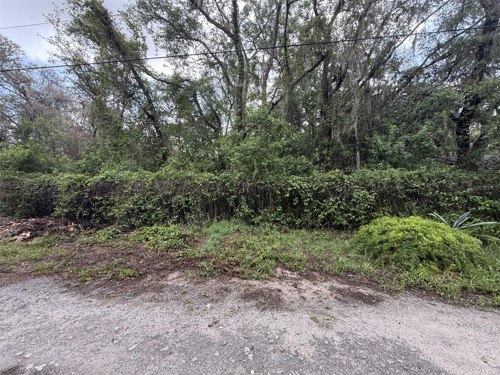 Rare opportunity in Moon Lake Estates — .18-acre unimproved, fully fenced lot ready for your dream home. No utilities currently on site, offering a blank canvas for a custom new build. Quiet neighborhood, close to local amenities and natural surroundings. Ideal for buyers seeking to design and construct a forever home. Bring your plans and builder — seize this chance to create your perfect retreat. Contact for more details and survey information.