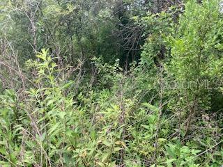 Great investment opportunity, 1.25 acres lot located in the Four Corners tourist area, close to Disney parks and hotels, shops and restaurants in the surrounding area. Is a land locked area (no access by roads yet)