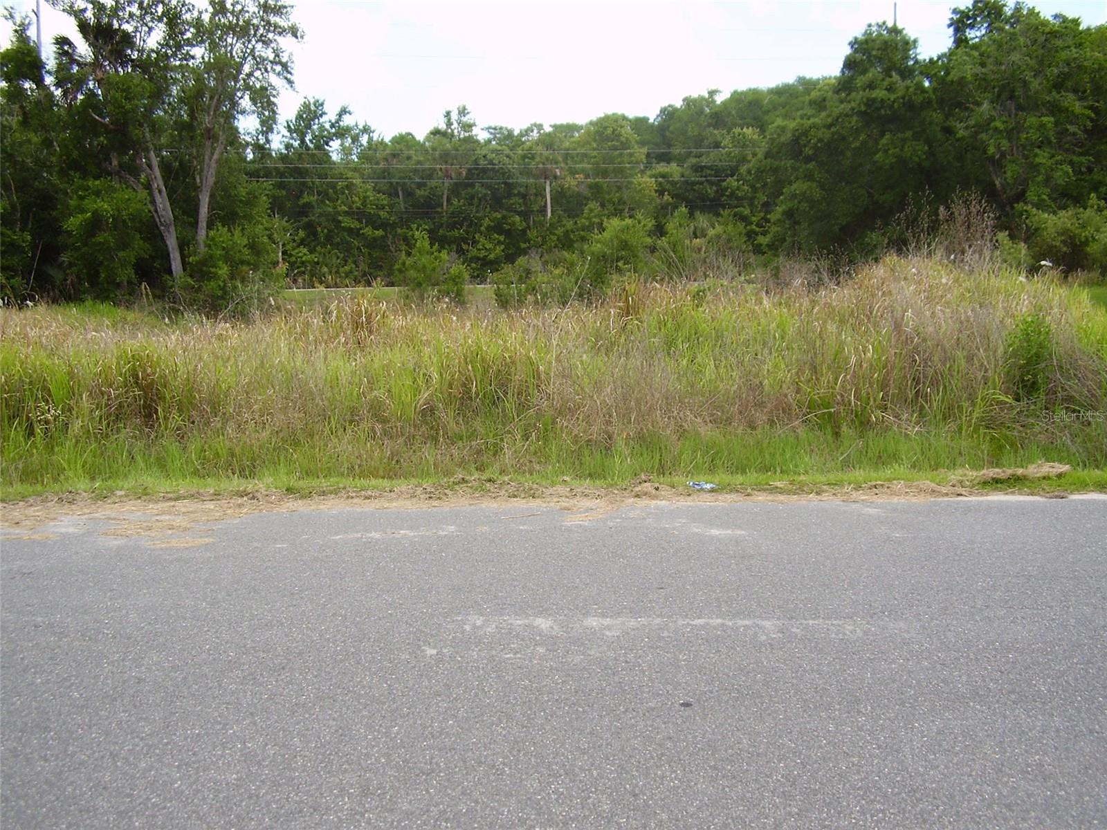 BUY THIS BEAUTIFUL 10,036 SQ. FT. LOT IN AN EXCELLENT LOCATION OF POINCIANA WITH A GREEENWAY IN THE REAR OF LOT AND BUILD YOUR DREAM HOME NOW OR WHENEVER YOU ARE READY. THERE IS PLENTY OF ROOM FOR A LARGE SIZE HOME WITH A PORCH, POOL AND STILL HAVE PLENTY OF ROOM FOR GARDENING. POINCIANA IS A COMUNITY LOCATED 50 MINUTES AWAY FROM ORLANDO INTERNATIONAL AIRPORT AND NEXT TO DISNEY'S ATTRACTIONS. SEA WORLD, UNIVERSAL STUDIOS AND ALL OTHER ATTRACTIONS CENTRAL FLORIDA IS FAMOUS FOR ARE ONLT MINUTES AWAY. ENJOY THE ATLANTIC OCEAN BEACHES LIKE DAYTONA BEACH, COCOA BEACH, MELBOURNE BEACH, NEW SMYRNA BEACH, ETC. OR IF YOU PREFER THE GULF OF MEXICO BEACHES LIKE ST. PETE'S BEACH, CLEARWATER BEACH, ANAMARIA ISLAND, REDINGTON BEACH, SARASOTA BEACH, ETC. POINCIANA HAS ITS OWN SCHOOLS, VALENCIA COMMUNITY COLLEGE. POINCIANA HAS PARKS, DOG PARKS, PLAYGROUNDS, BASKETBALL COURTS, GOLF, BASEBALL, TENIS, SOFTBALL, FOOTBALL, SOCCER, RACKETBALL, FISHING, SWIMMING POOLS, SHUFFLEBOARD, FITNESS TRAILS, ETC. THERE ARE SHOPPING CENTERS, SUPERMARKETS, DRUGSTORES, LIBRARY, HOSPITALS, MEDICAL OFFICES AND ALL SUPPORTING MEDICAL SERVICES. YOU CAN BE AS ACTIVE AS YOU WANT, OR JUST RELAX, POINCIANA HAS IT ALL FOR EVERYONE. COME, BUY THIS LOT AND BUILD YOUR HOME NOW OR WHENEVER YOU ARE READY. GIVE US A CALL AND WE WILL BE GLAD TO SHOW IT TO YOU AND ANSWER ANY QUESTIONS YOU MAY HAVE.