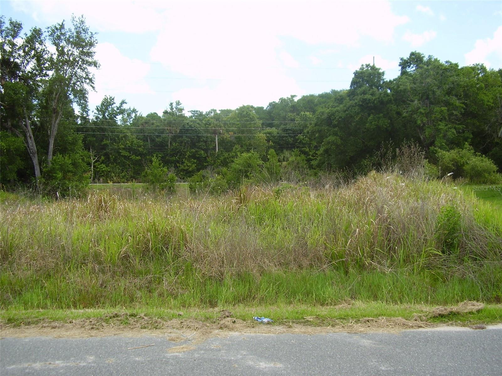 POINCIANA NBRHD 06 SOUTH VILLAGE 03 - Land