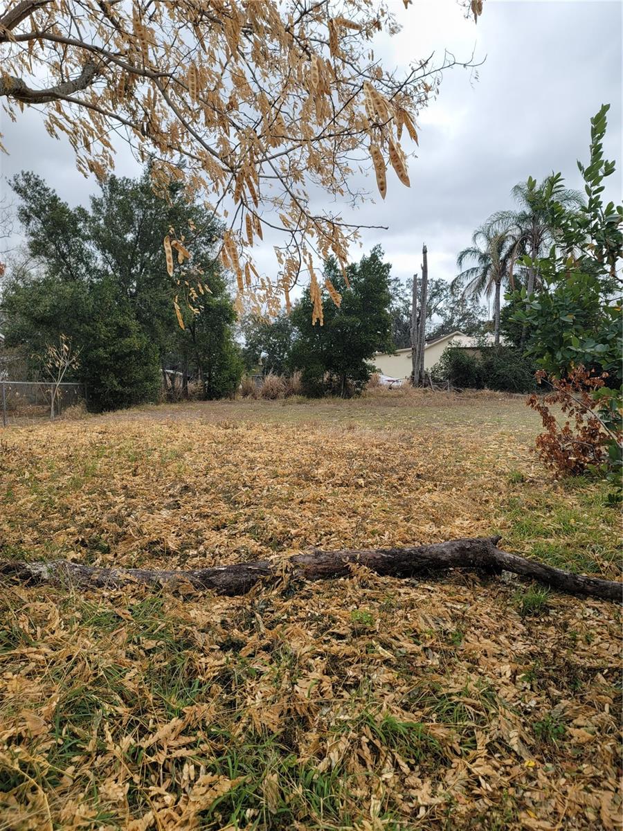 Discover the perfect opportunity to build your vision on this vacant residential lot located in Haines City. Whether you’re looking to build your dream home or invest in Florida land, this property offers endless potential.
Conveniently situated near downtown, you’ll enjoy both privacy and accessibility. Haines City continues to grow, making this an excellent opportunity for homeowners and investors alike.
— the possibilities start here!