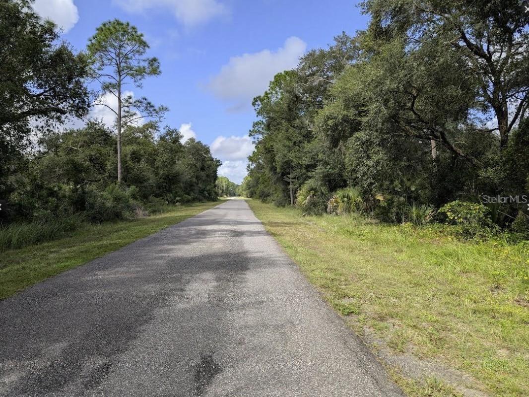 INDIAN LAKE ESTATES - Land