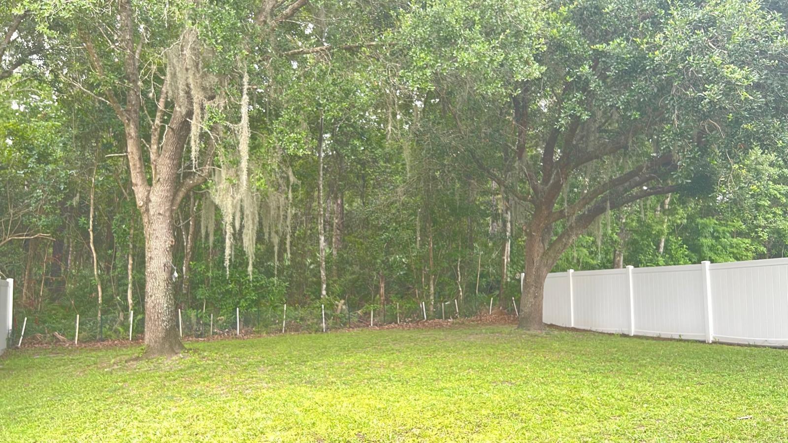 LA VINA 49 135 - Residential Lease