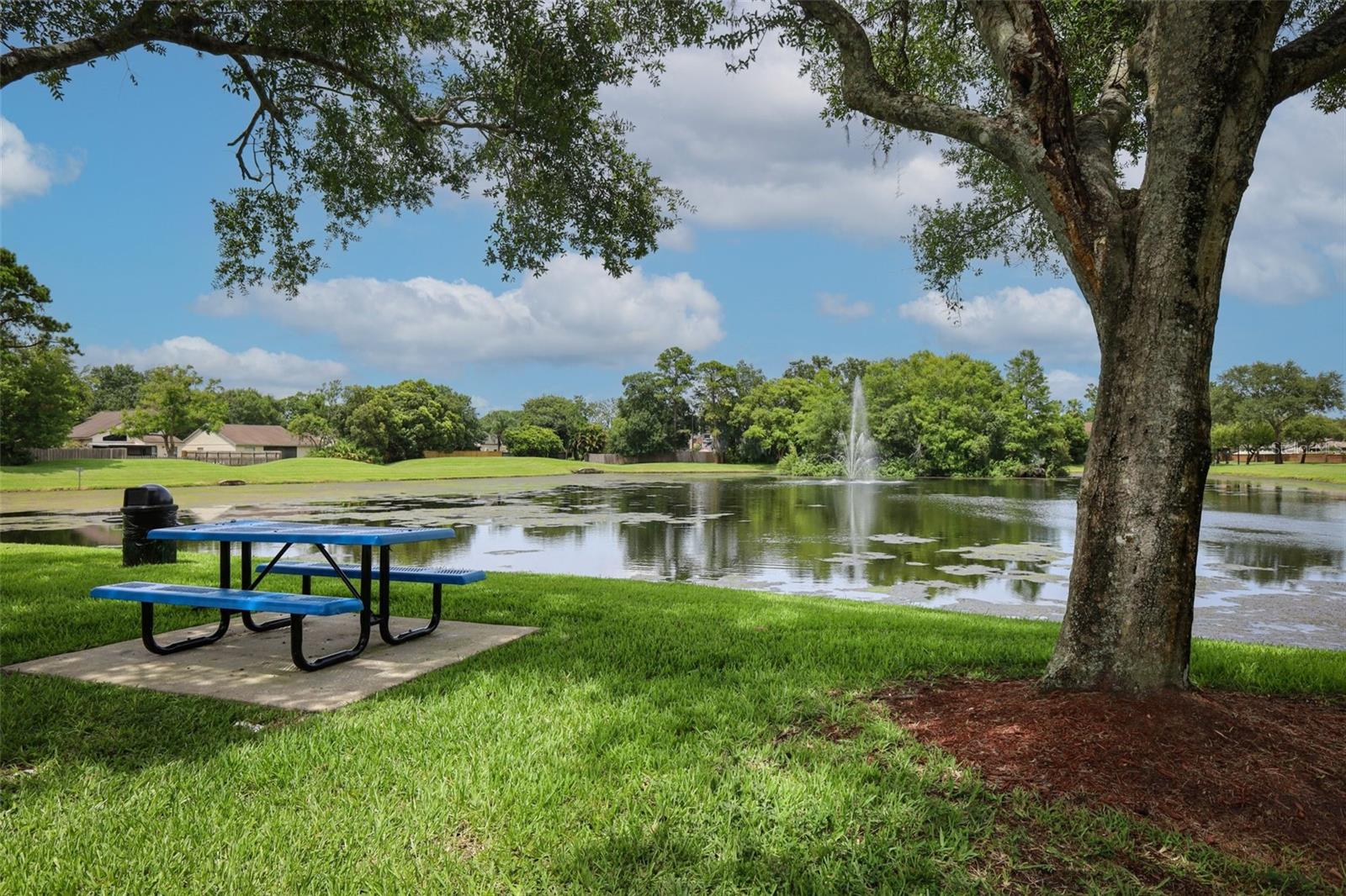 ALAFAYA WOODS - Residential