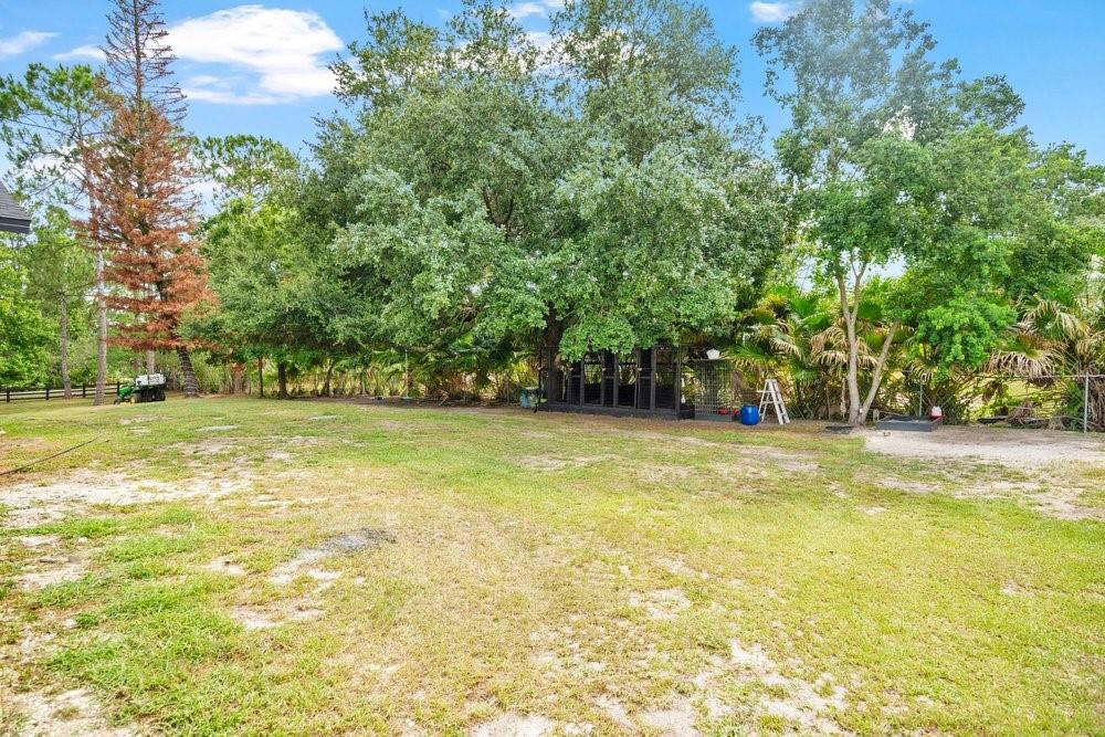 CANAVERAL GROVES SUB - Residential