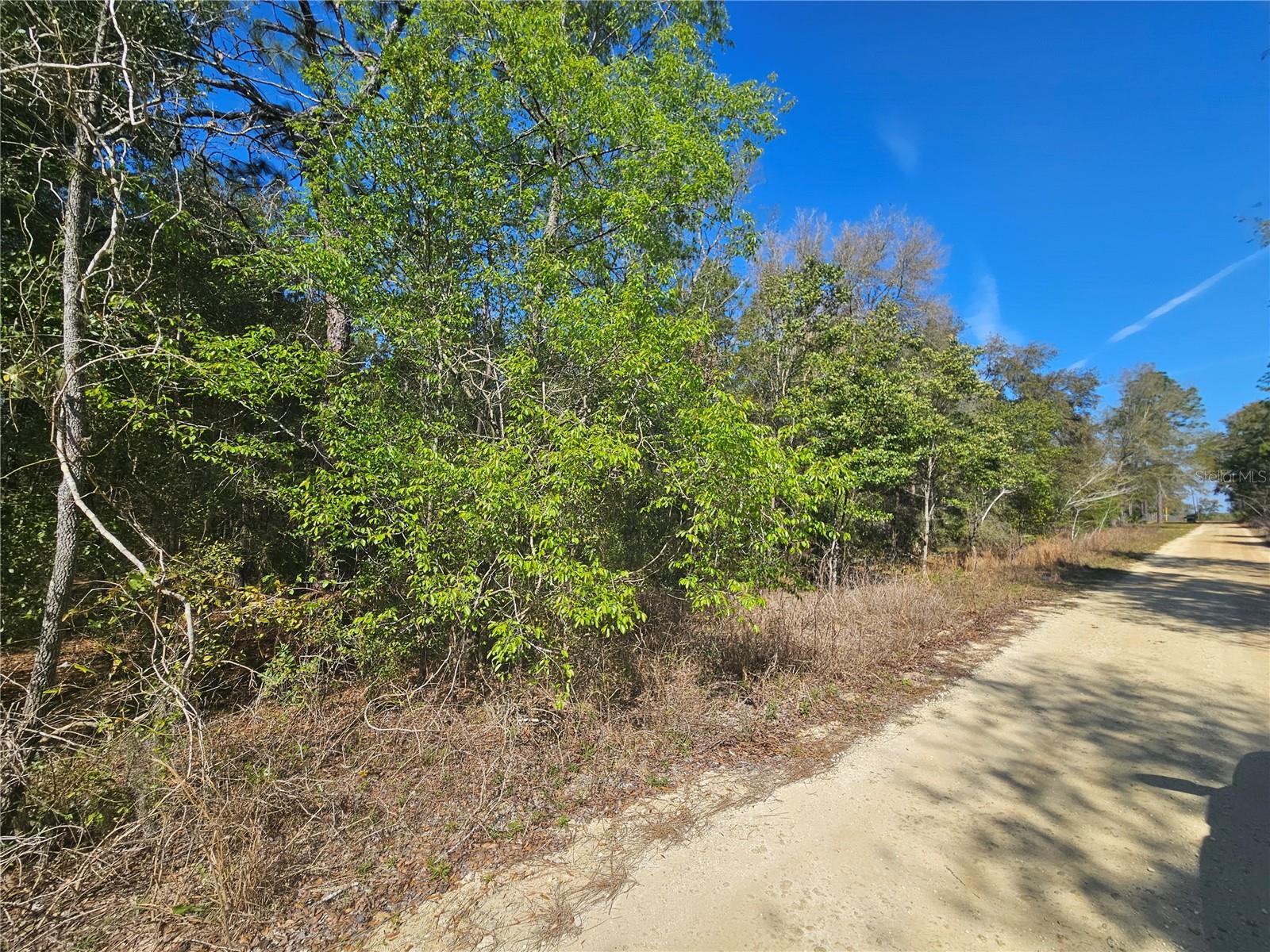 1 ACRE BUILDING LOT in DESIRABLE LOCATION! This one acre parcel is conveniently located just off a paved road just a few short minutes from Williston. Parcel measures about 107' on the road and 404' deep. High & Dry, No HOA and no time limits to build. Zoned Agricultural/Rural Residential (A/RR) allowing for your site-built or manufactured/mobile home. Nice quiet neighborhood with homes and manufactured homes in the area. Nice trees to provide shade and privacy and plenty of space for elbow room.