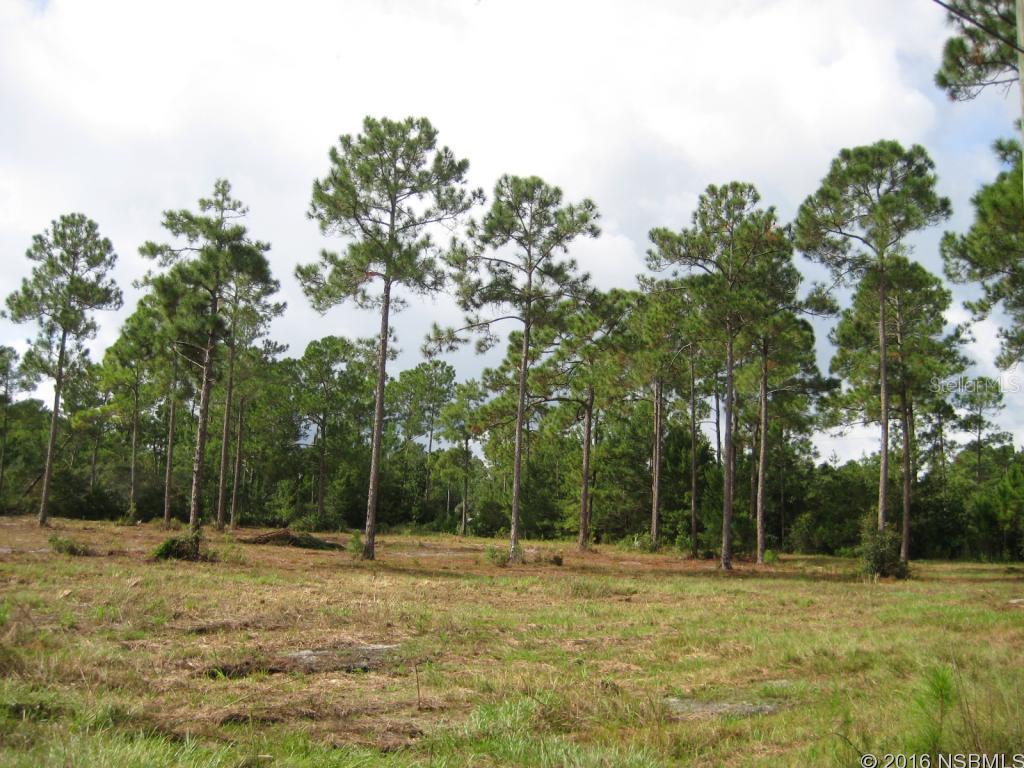 BUILD YOUR COUNTRY ESTATE HERE...Corner lot with 300' frontage on Crestwood Manor Drive and 270' along Sand Knoll Trail. THIS LOT IS BEING SOLD TOGETHER WITH THE PARCEL AT 0 DEWEY DRIVE (parcel # 7226-0300-0460) for total of just under 2 acres. The charming town of New Smyrna Beach is just minutes away for shopping, restaurants and banking. New Super Walmart is nearby. 10 miles to the Atlantic Ocean and Intracoastal Waterway for surfing, fishing, and watersports. 4 golf courses within 8 miles! Easy access to I-95. Commute to Daytona Beach (20 Min.) or Deland (20 Min.) or Orlando (45 Min.) Priced to sell quickly! A-3 zoning.; Cleared: Partial ;Water: Holding Tank