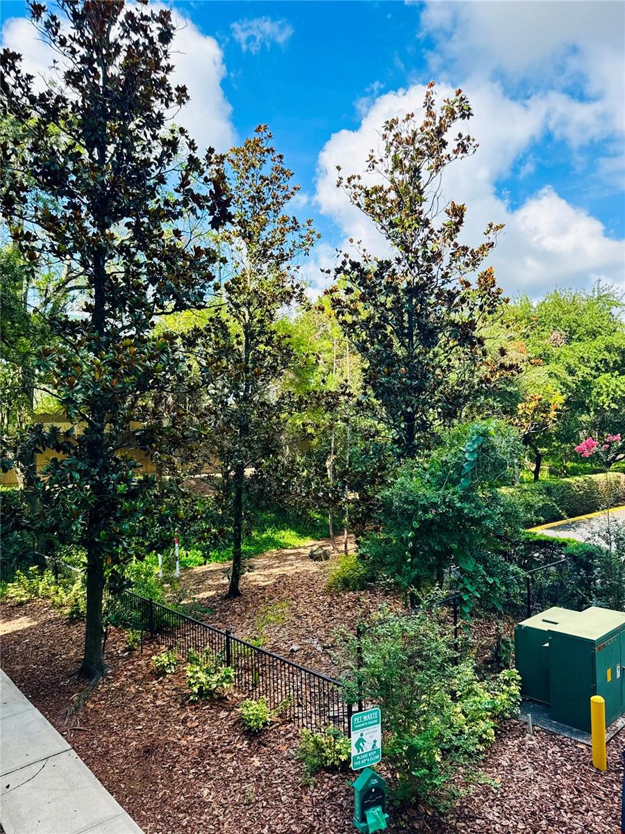 GRANDE DOWNTOWN ORLANDO - Residential Lease
