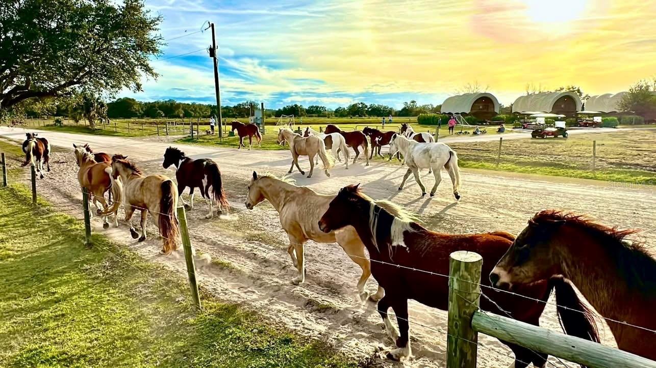 OUTDOOR RESORTS RIVER RANCH RV RESORT PH 03 - Land