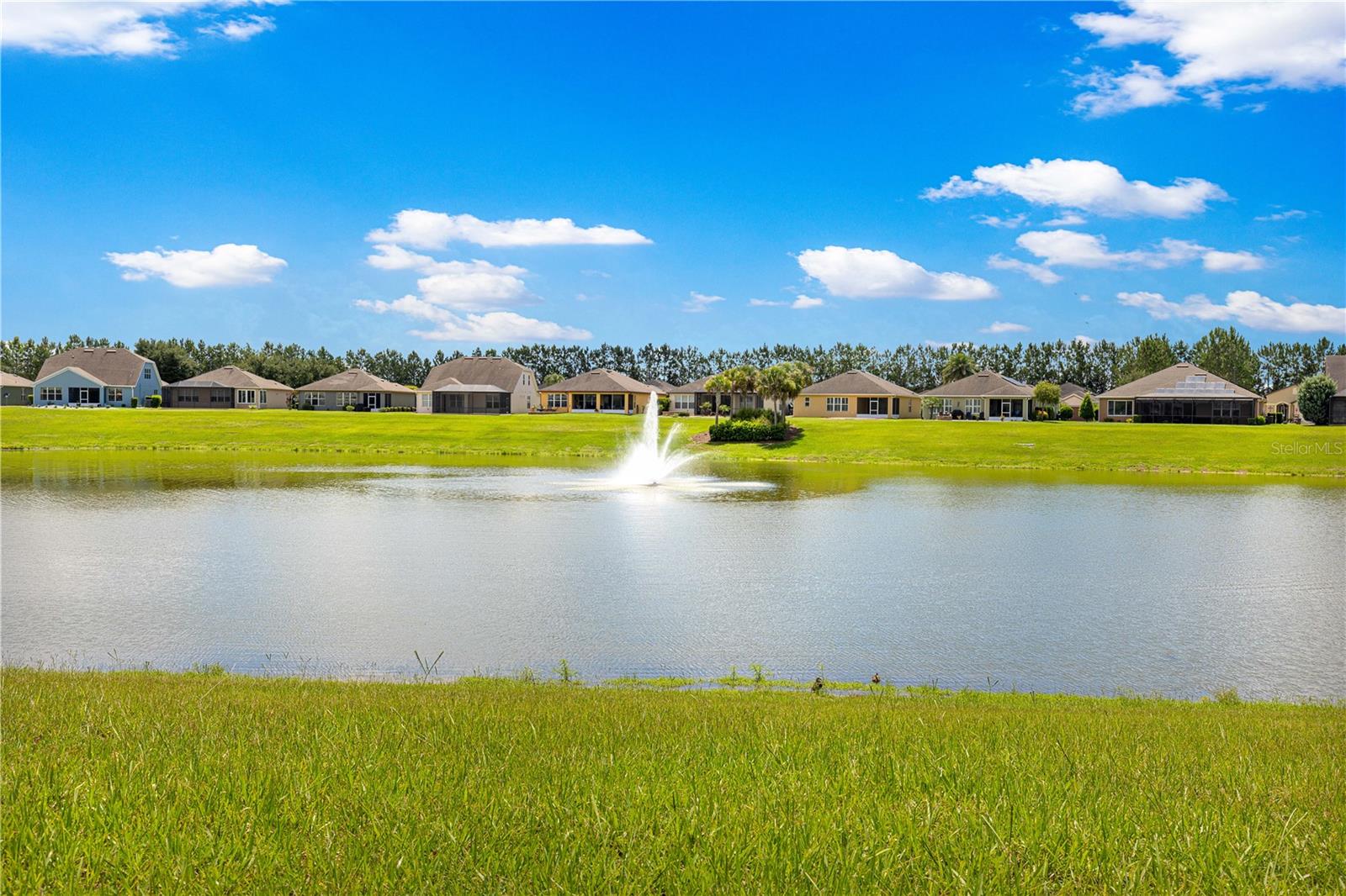STONE CREEK BY DEL WEBB - Residential