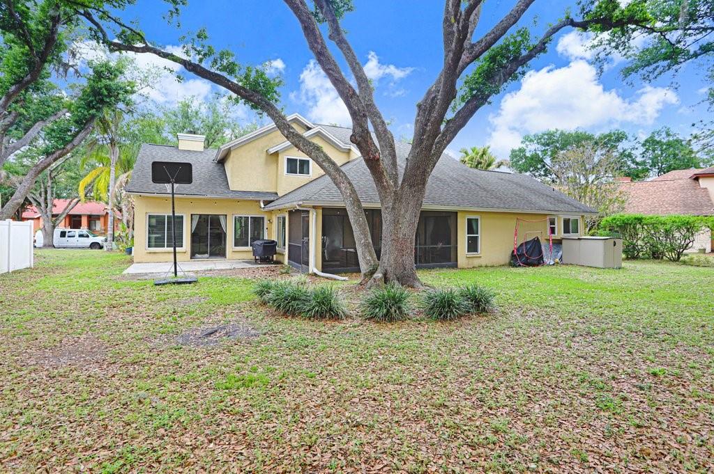 TAMPA PALMS UNIT 3B A REP - Residential Lease