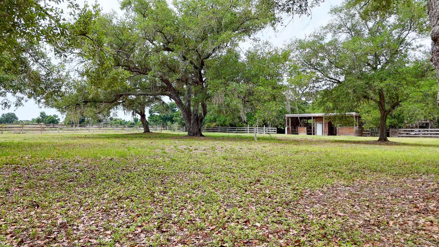 OAK RDG FARMS - Land