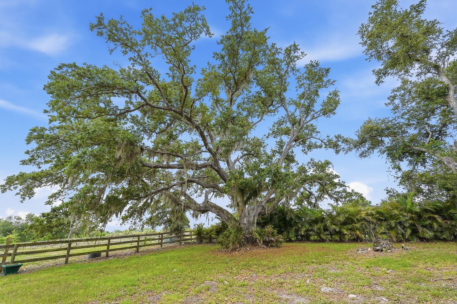 OAK RDG FARMS - Land