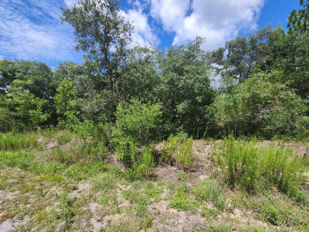 RAINBOW LAKES ESTATE - Land