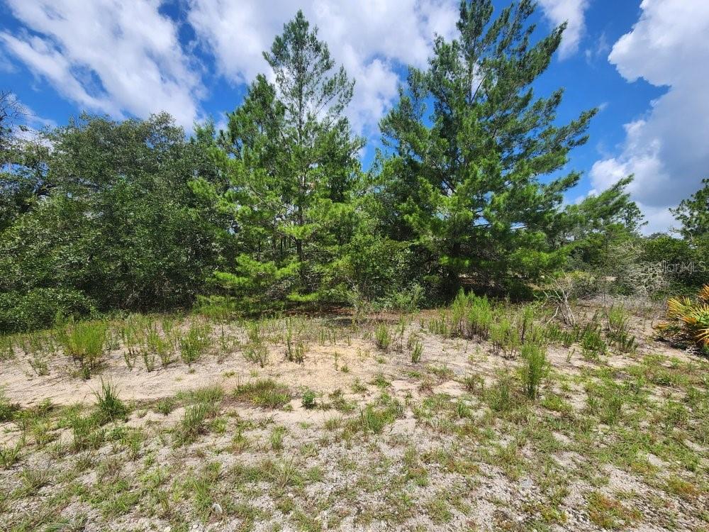 RAINBOW LAKES ESTATE - Land