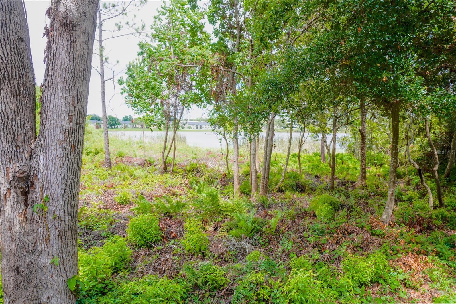 VILLAS LAKE DESTINY - Residential