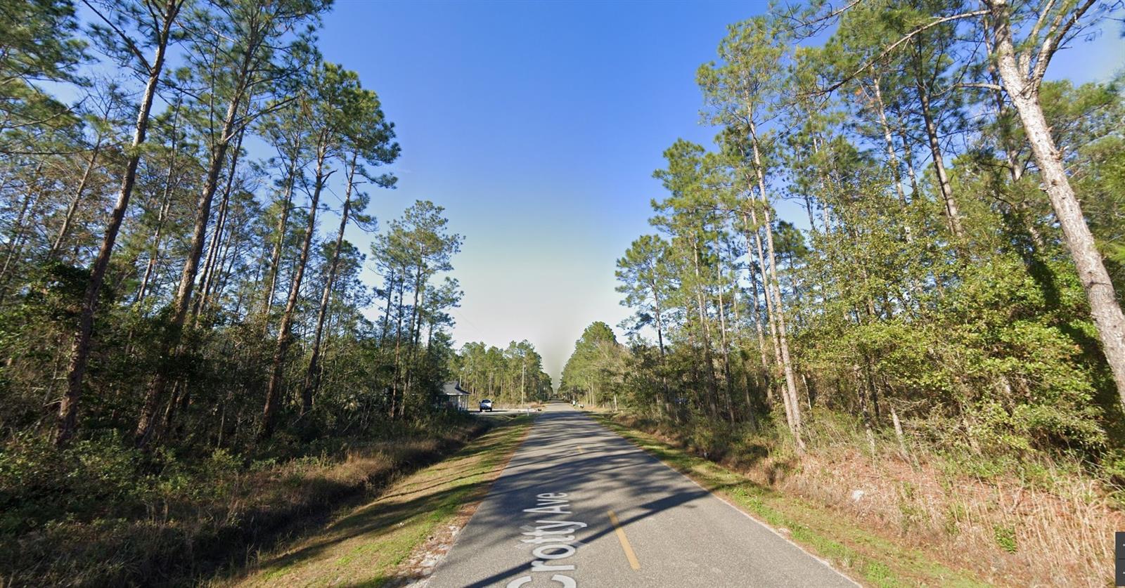 FLAGLER ESTATES UNIT 1 UNPLATTED - Land