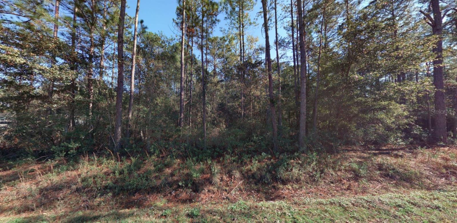 FLAGLER ESTATES UNIT 1 UNPLATTED - Land