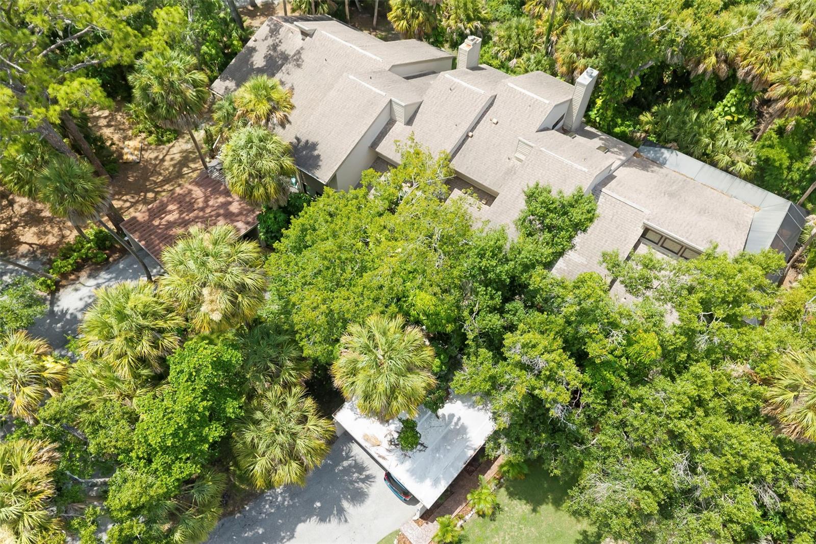 ARBOREAL PH 1 - Residential