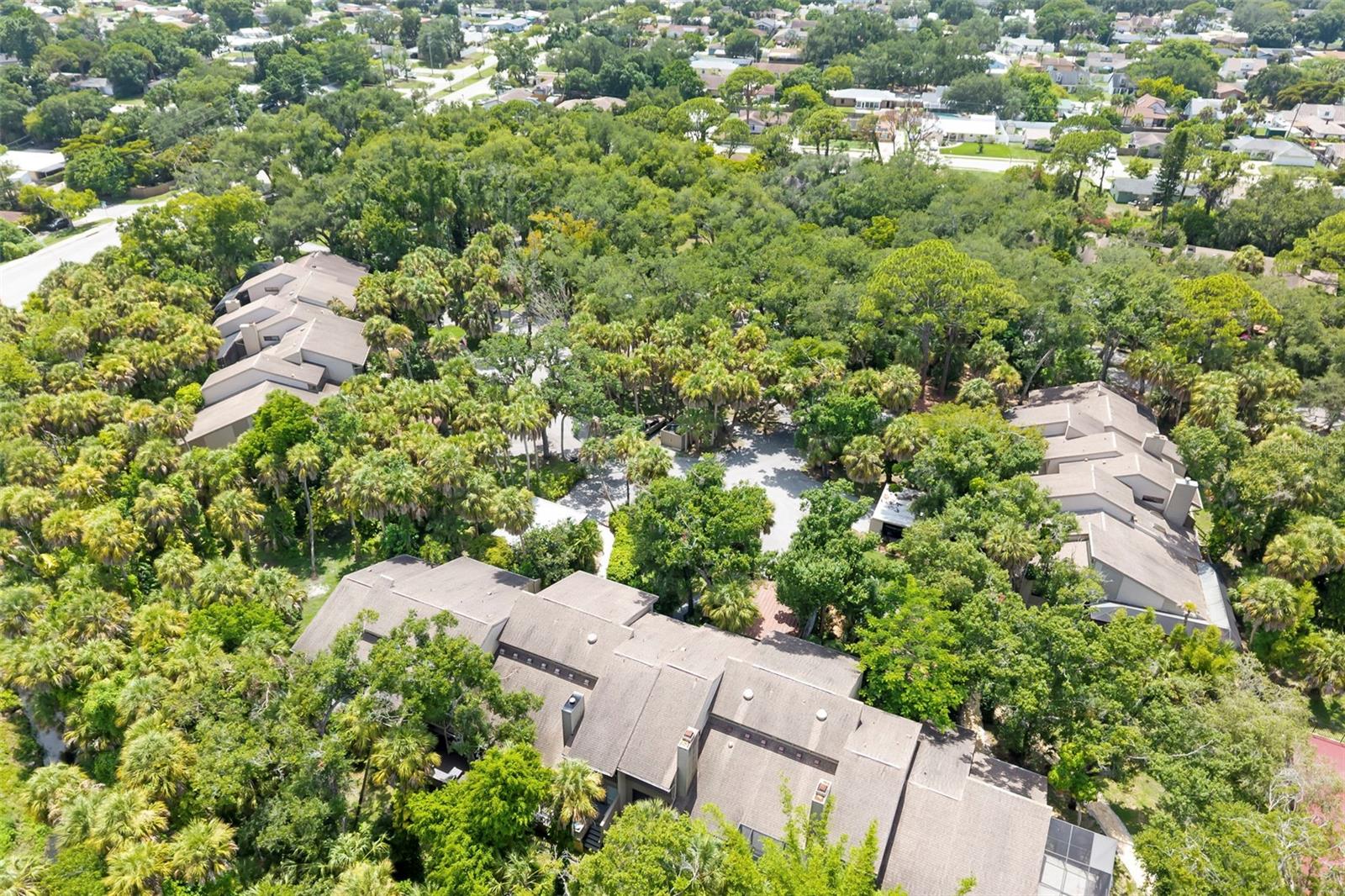 ARBOREAL PH 1 - Residential