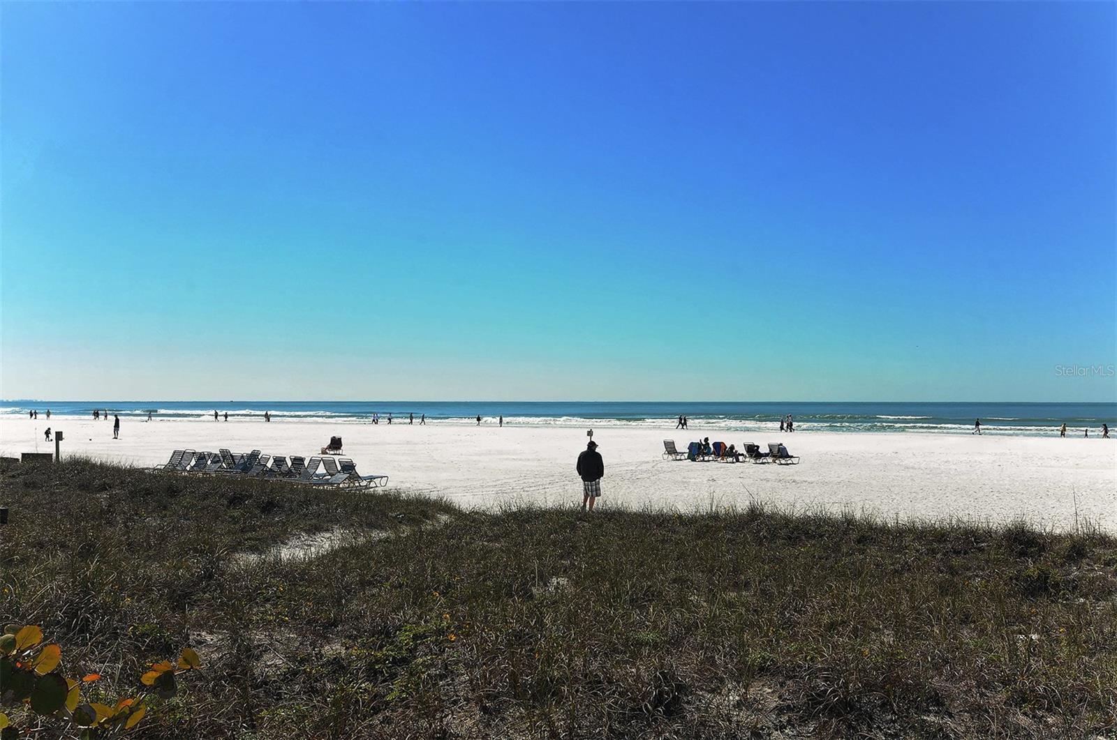 GULF & BAY CLUB - Residential