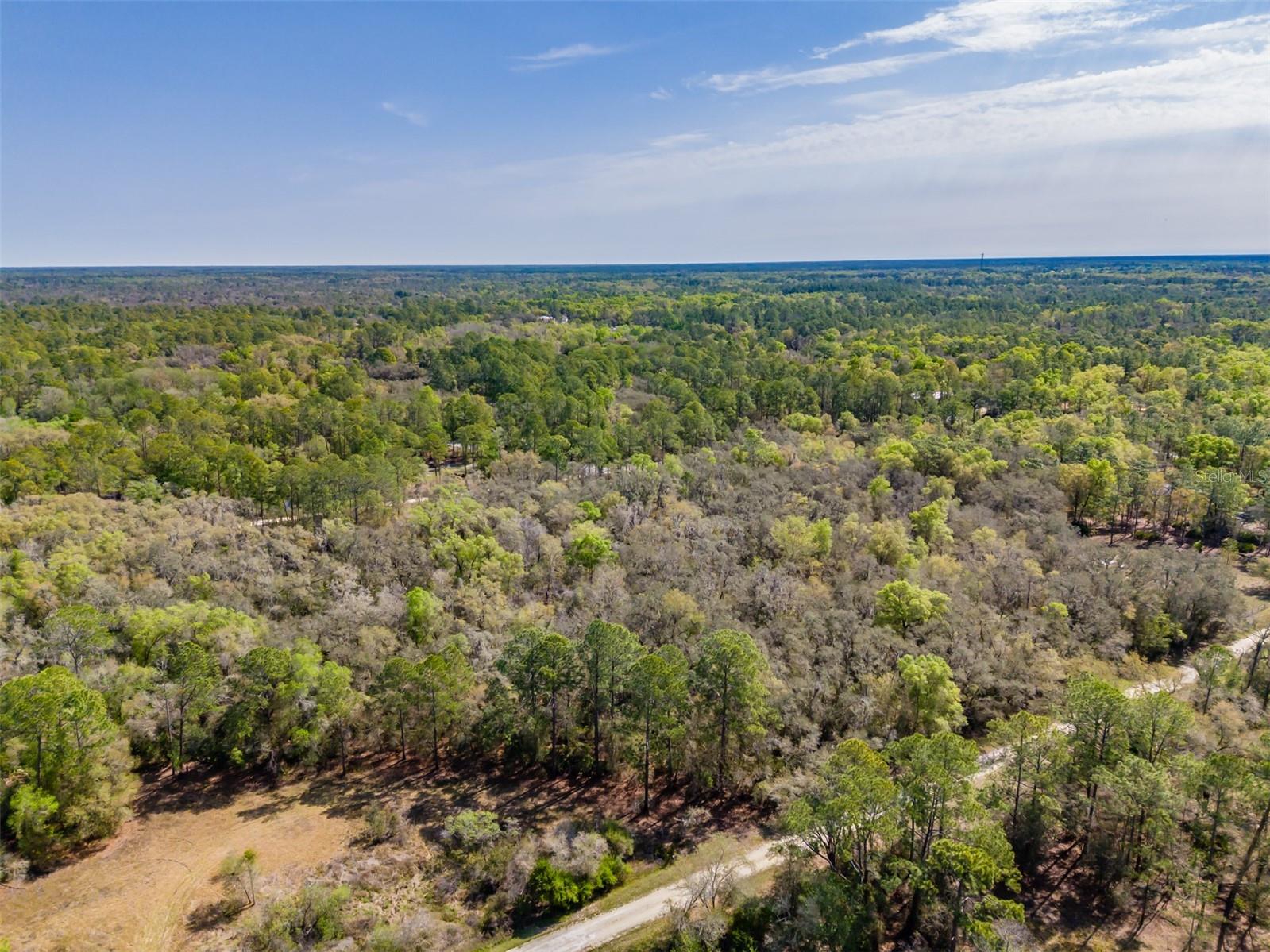 RIDGE MANOR ESTATE - Land