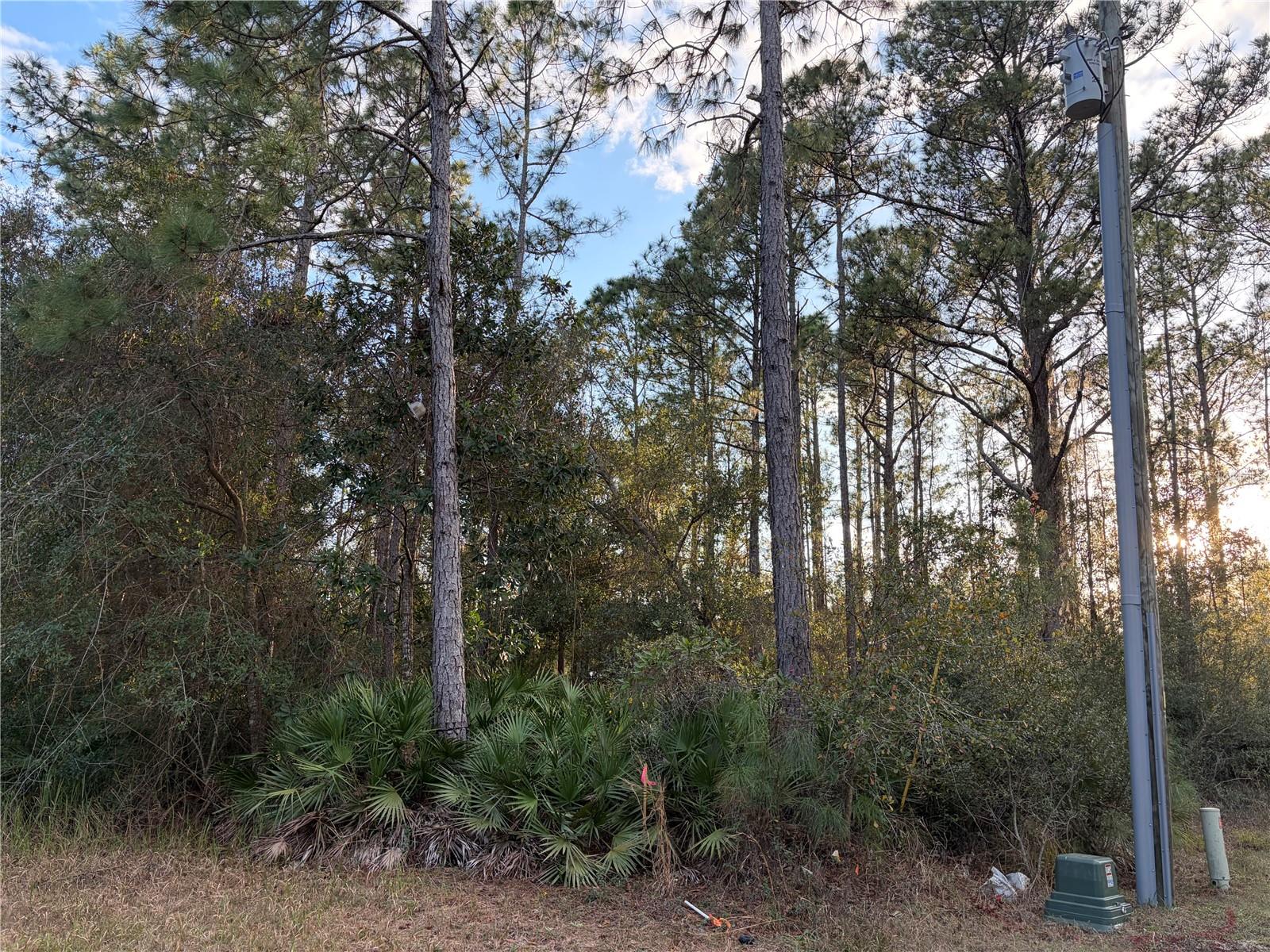 Great investment for a Builder or investor. Built when you are ready on this 1.25 acres lot