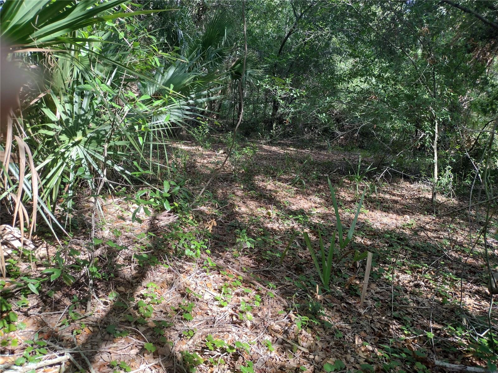 UNPLATTED - Land