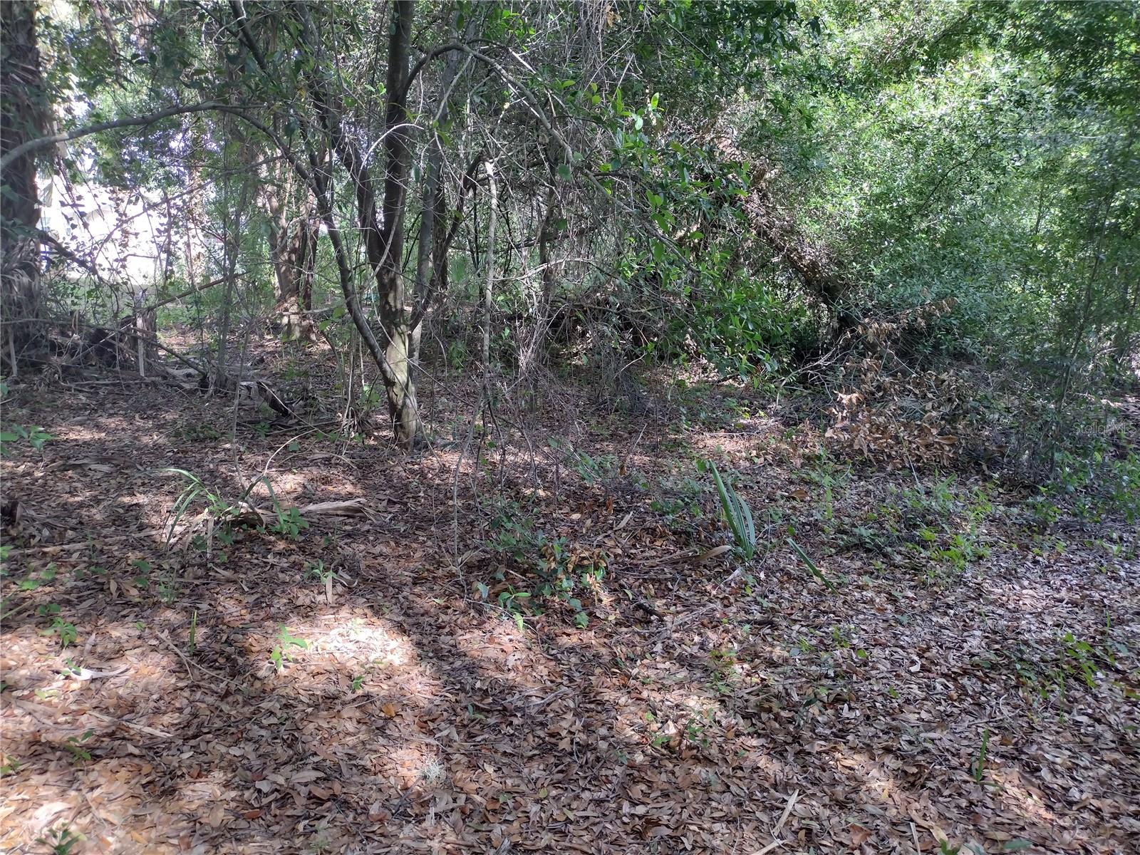 UNPLATTED - Land